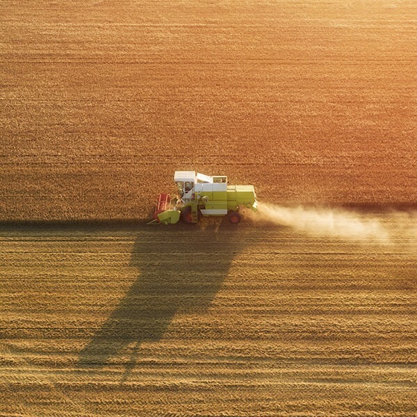 Fondation pour la Nature et l’Homme